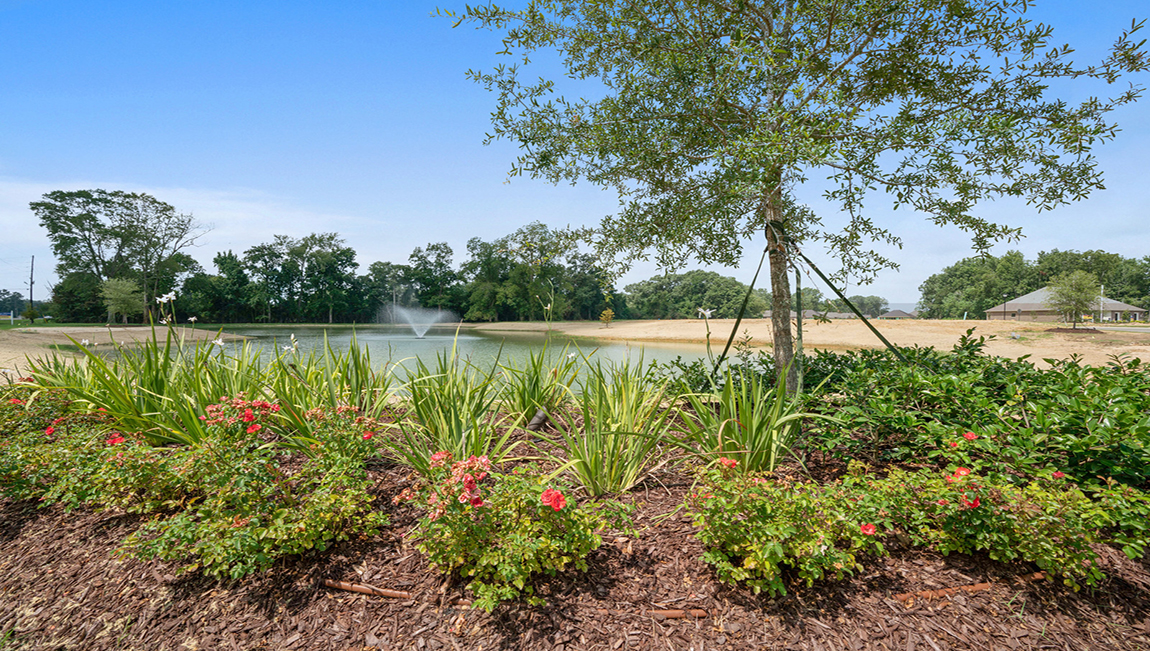 New Homes in Meadow View Zachary, Louisiana D.R. Horton