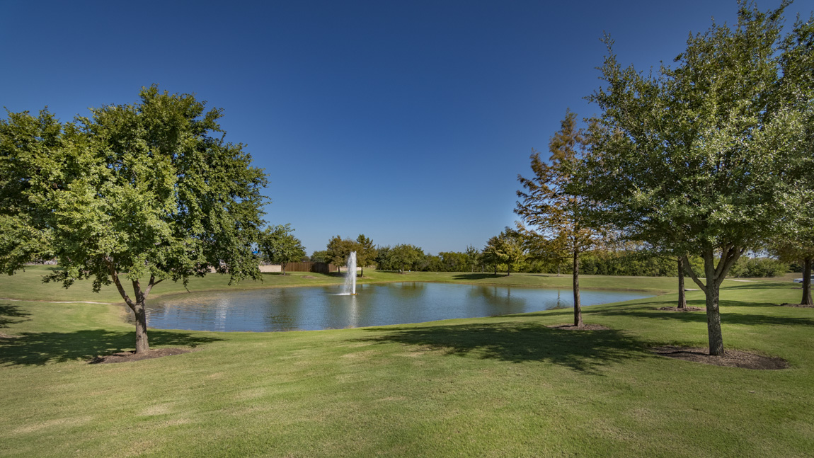 New Homes in Williamsburg Fate, Texas D.R. Horton