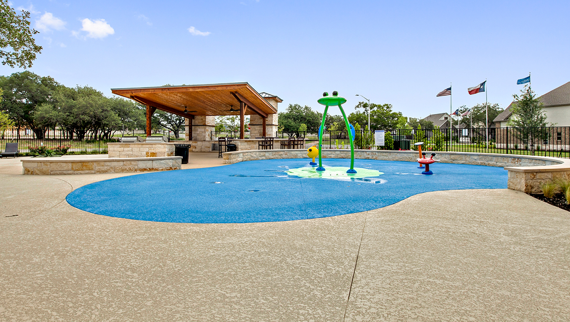 Larkspur Leander Texas