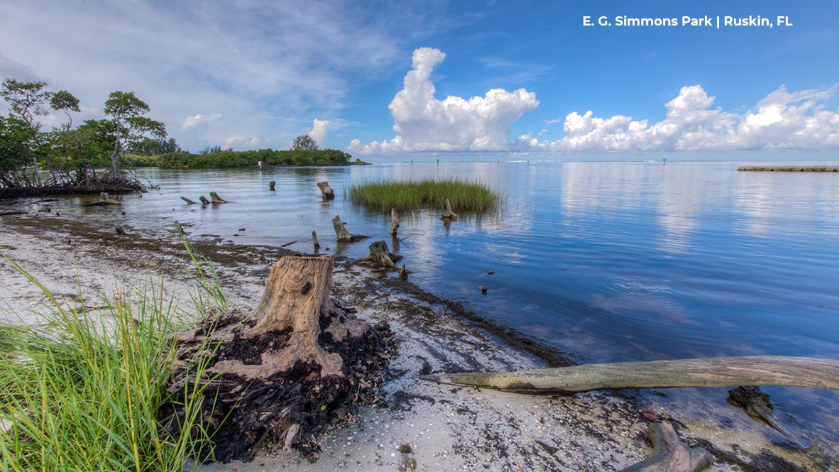 New Home in Southshore Bay Wimauma, FL D.R. Horton