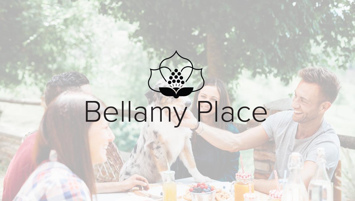 new-homes-in-bellamy-place-leland-nc-express