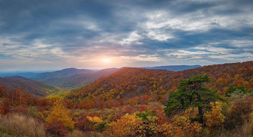 New Homes in Arbors at Farms of New Kent New Kent, VA D.R. Horton