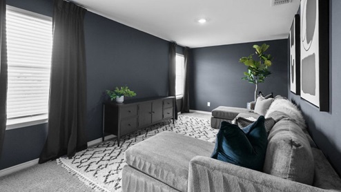 movie room