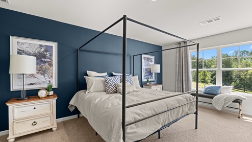 Interior primary bedroom with accent wall and large window