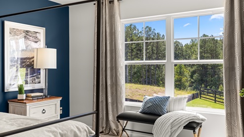 Interior primary bedroom with accent wall and large window