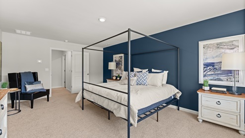 Interior primary bedroom with accent wall and large window