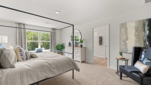 Interior primary bedroom with accent wall and large window