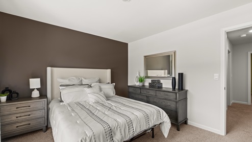 Interior bedroom with accent wall and walk-in closet