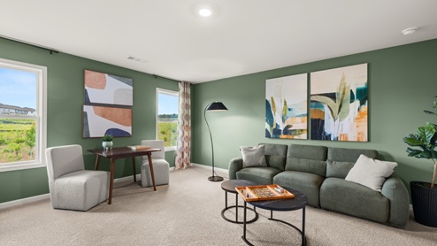bedroom with olive green walls, two windows and a couch
