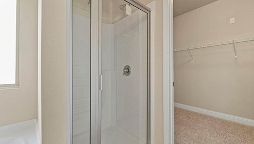 Separate shower and walk-in closet.