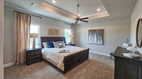 Primary bedroom with trayed ceiling and windows.