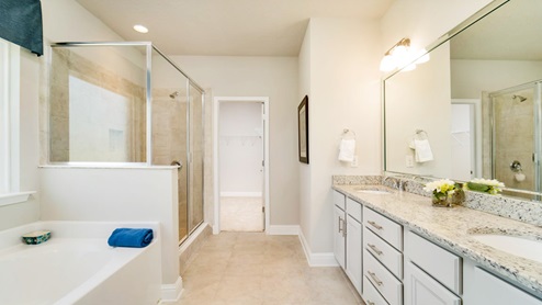 Sleek and luxurious primary bathroom suite