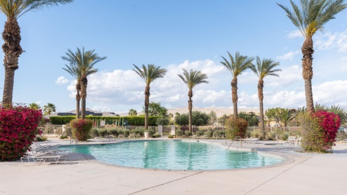 Community pool lined with palm trees