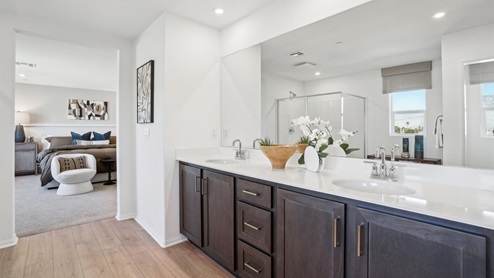Primary bathroom with dual vanities