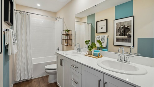 Secondary bathroom with vanity and tub shower combination