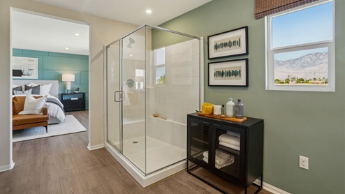 Primary bathroom shower