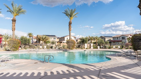 Community pool lined with palm trees