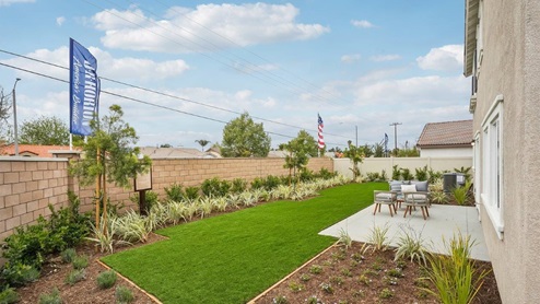 Spacious backyard