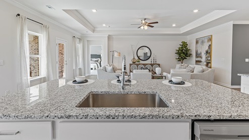 Kitchen sink with granite surround and stainless steel appliances