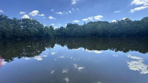 tickfaw state park river