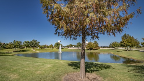 Williamsburg park and pond with trees