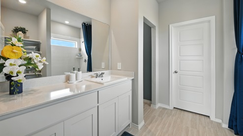 primary bathroom