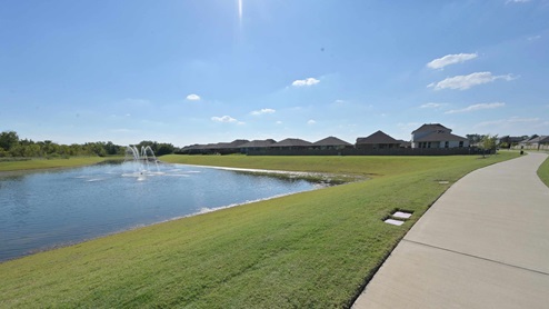 community pond
