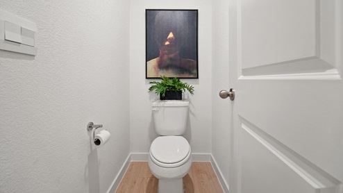 Separate water closet in main bathroom.