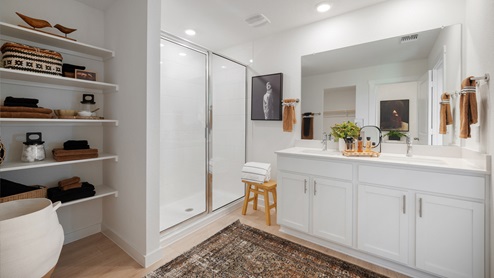 Walk-in shower and walk-in closet in main bathroom.