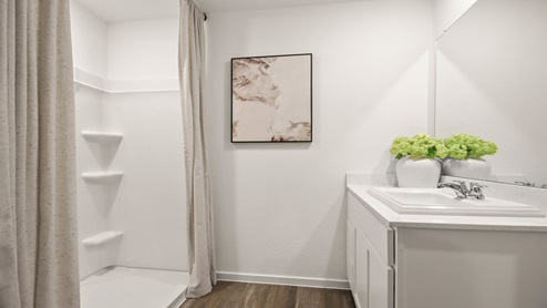 Primary bathroom with a walk-in shower, sink, white walls, and vinyl wood flooring.