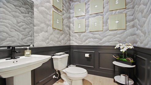 Powder room with white walls and light vinyl wood flooring.
