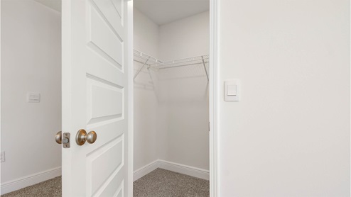 Primary bedroom with spacious closet