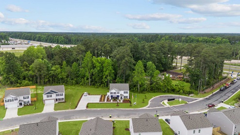 Aerial shot of the community