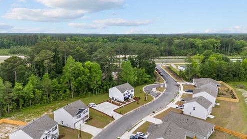 Aerial shot of the community