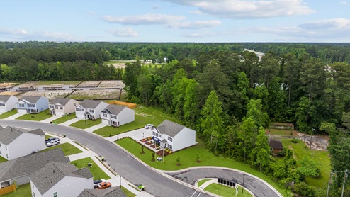 Aerial shot of the community