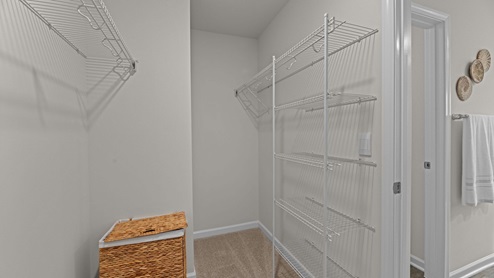 walk in closet with carpet flooring and built in wire shelving