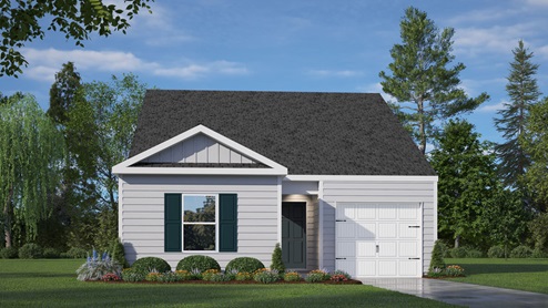 single story home