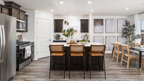 Adams Dark Cabinet Kitchen