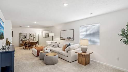 Deerfield Finished lower level living area with egress window