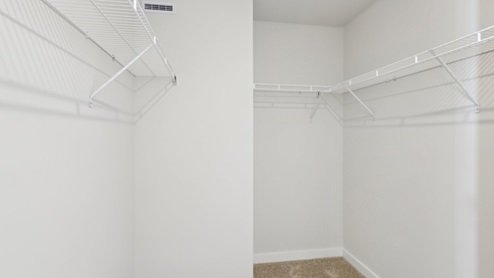 primary closet