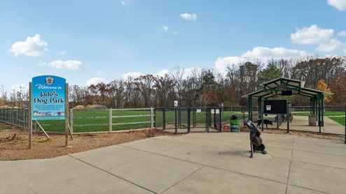 Dog Park