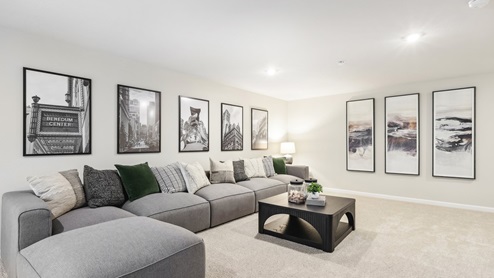 finished lower level living area