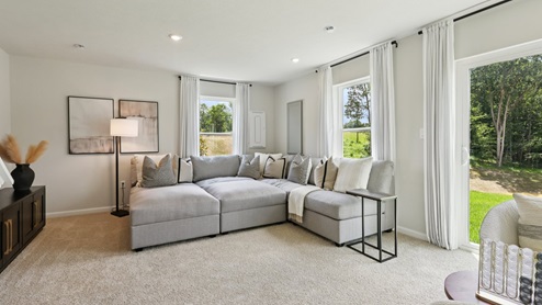 Regent finished lower level with sliding glass door