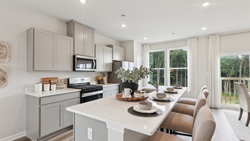 Regent kitchen area with stainless steel appliances
