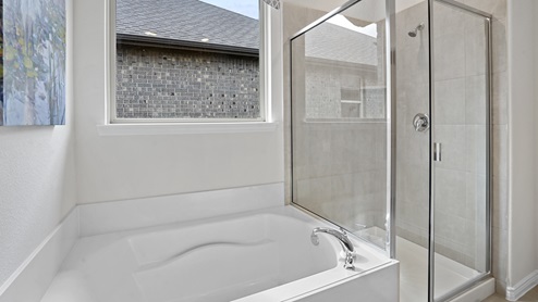 primary bathroom shower and garden tub and mirror