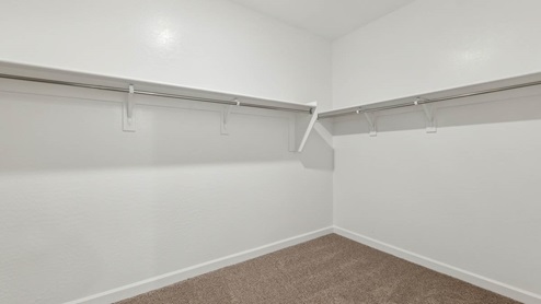 Primary Walk-In Closet