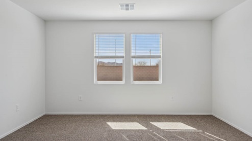 Primary bedroom with plush carpeting and a large walk-in closet.