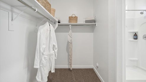 taylor closet