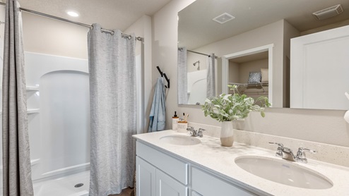 primary bathroom with two sinks and shower