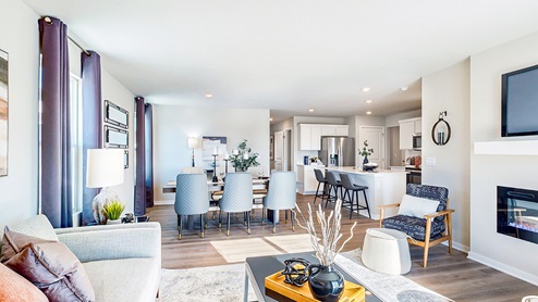 Overview of the Abbott living room dining area and kitchen
